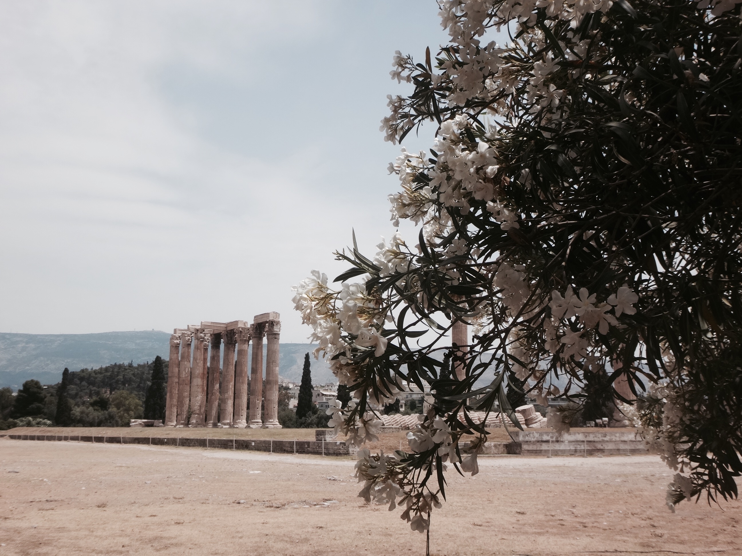 Die Ruinen vom Olympieion, der Tempel des Olympischen Zeus.