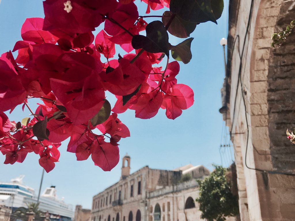 Valletta Malta Sehenswürdigkeiten