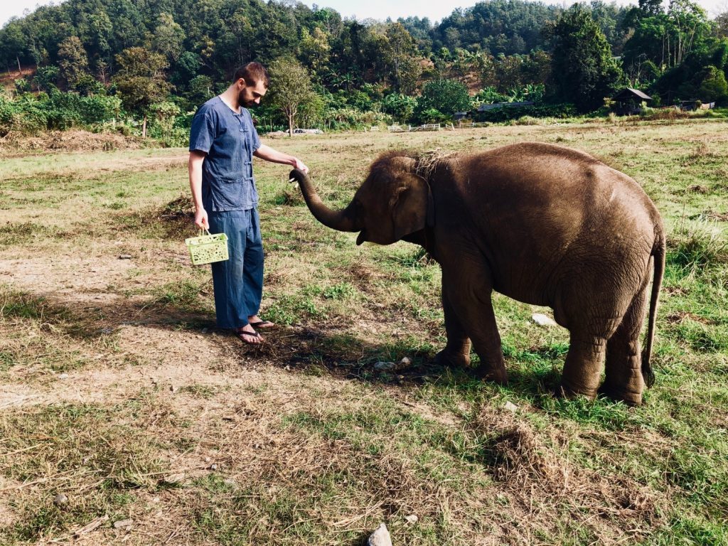 Elefantencamp in Chiang Mai, Thailand