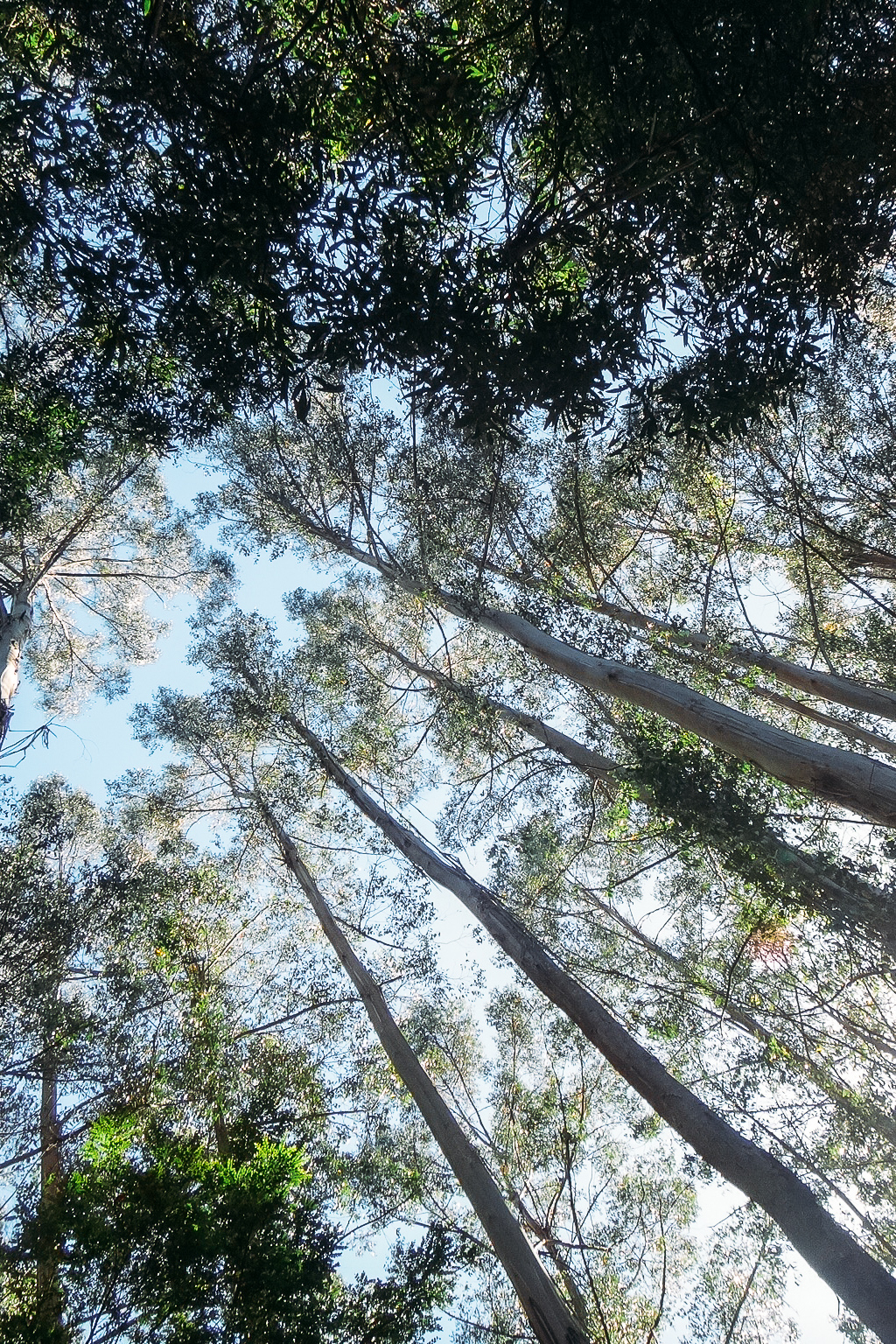 Visum und die richtige Vorbereitung für Australien