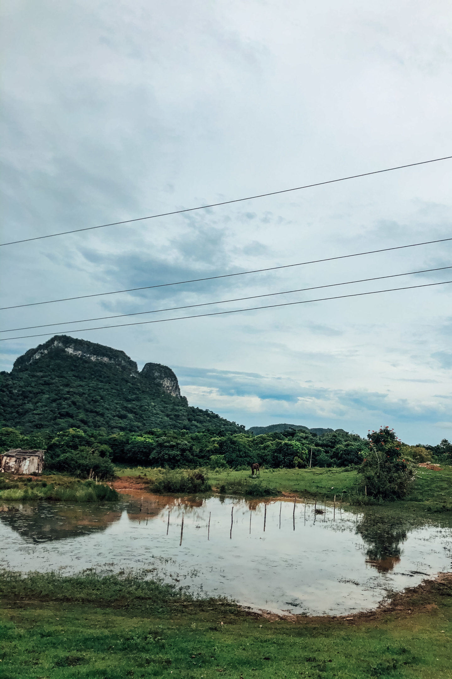 vinales kuba natur wasser