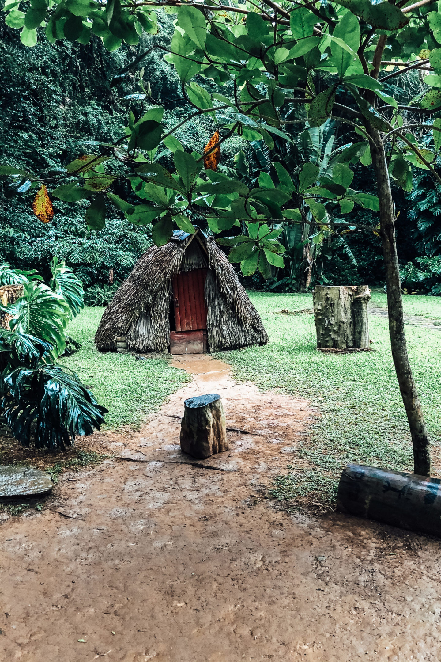 vinales kuba höhle tabakhaus