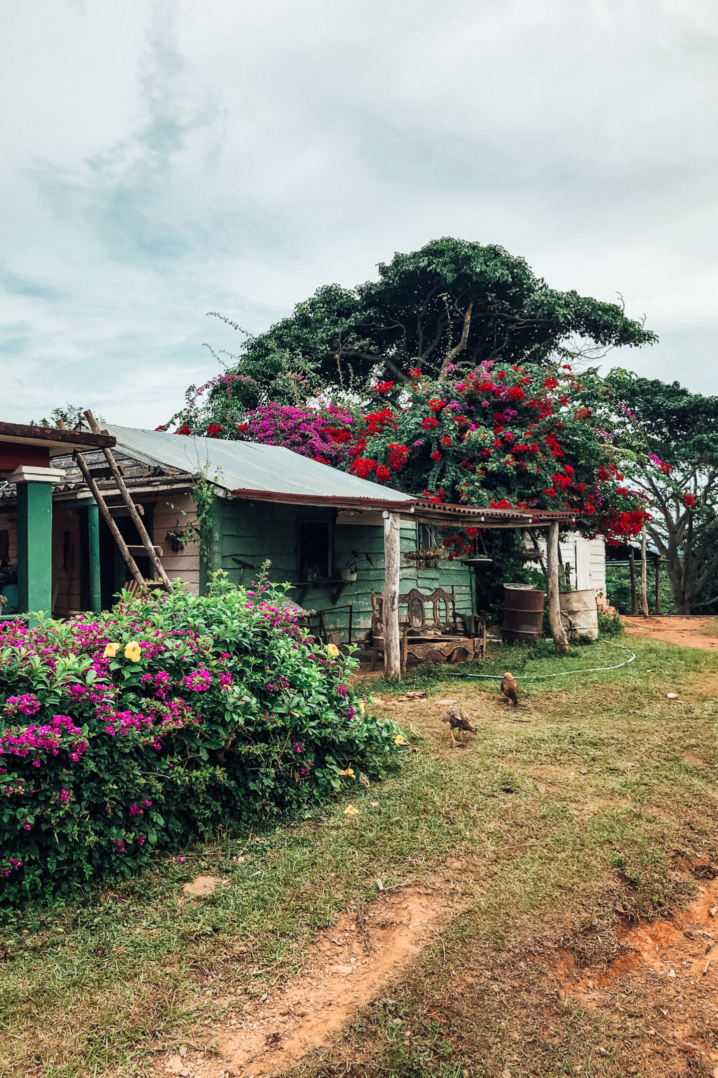 vinales kuba dorf