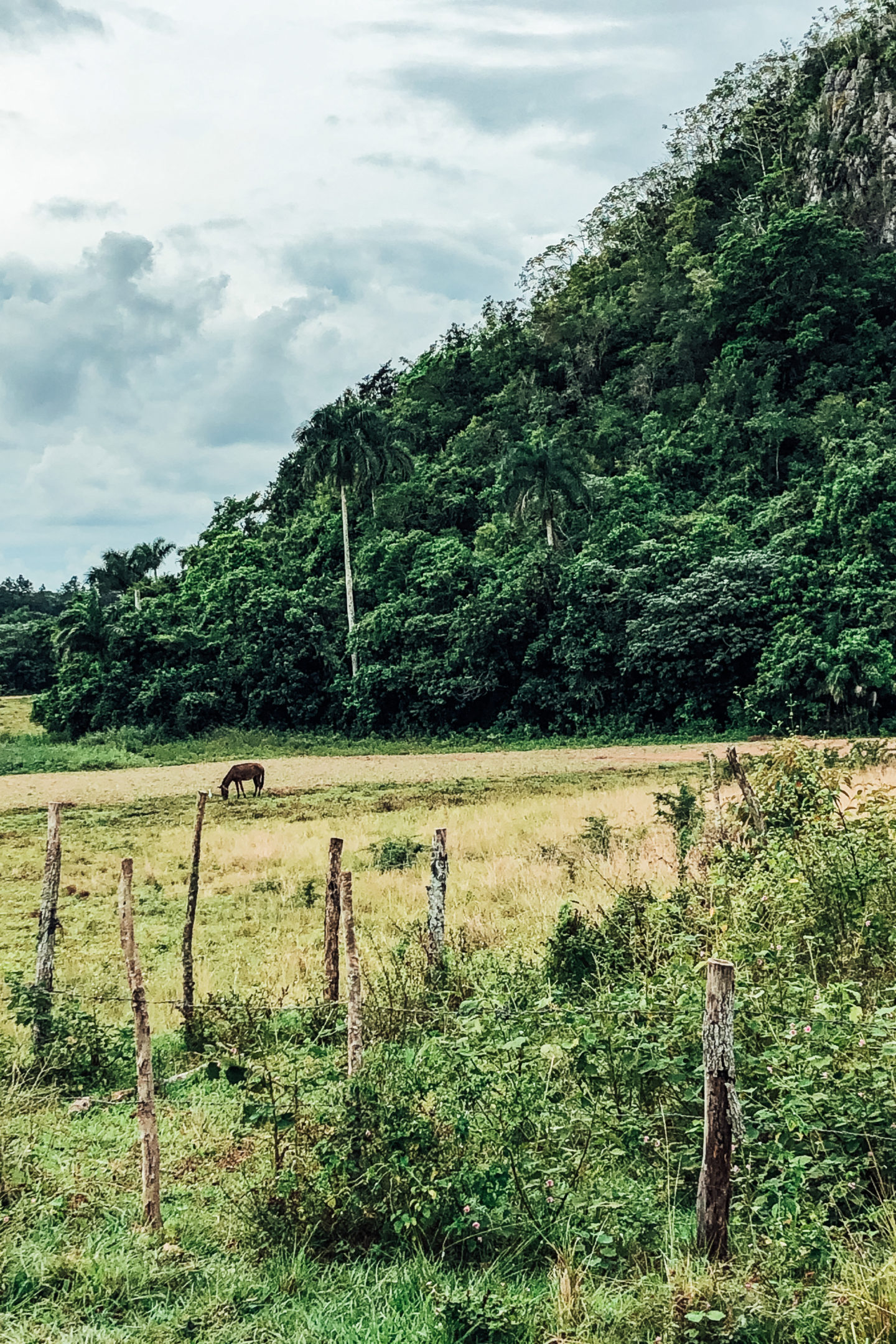 vinales kuba aussicht natur