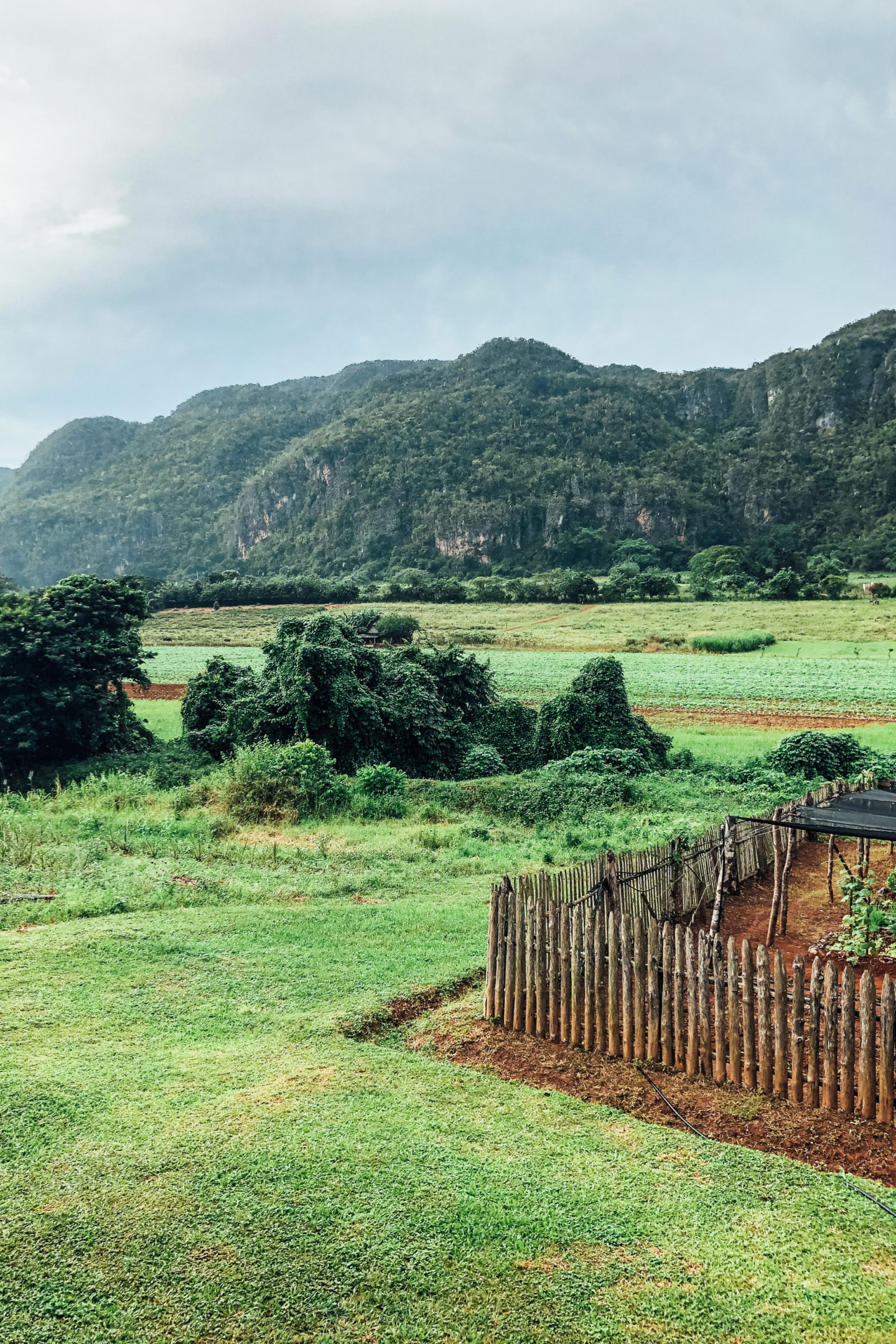 vinales kuba natur