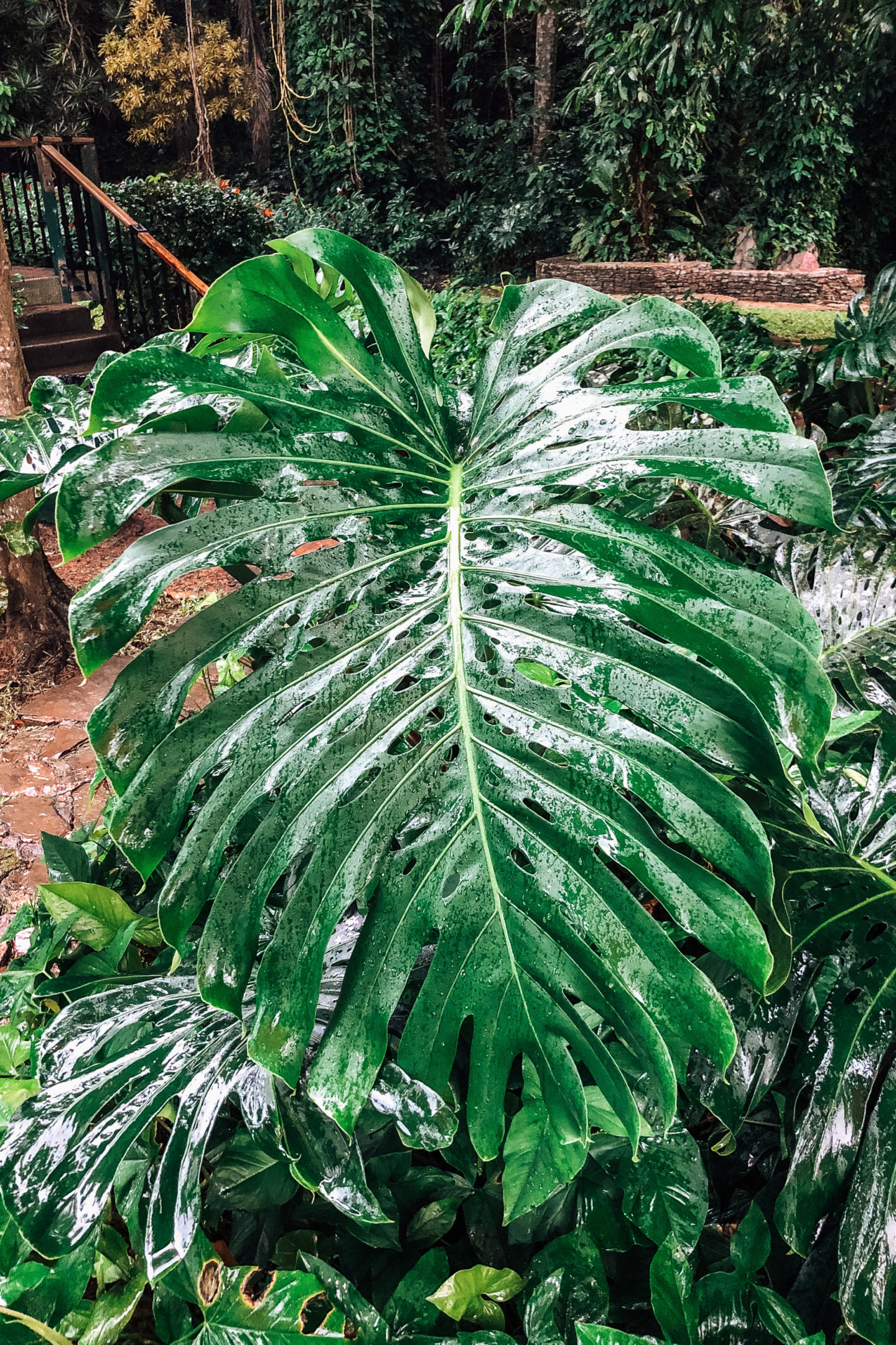 Viñales Tour: Tabakplantage, Pferdereiten und mehr